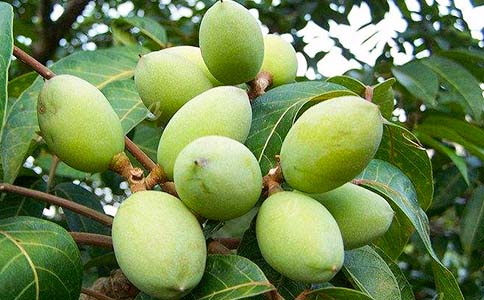 ��Ҳ��^һö���ϙ�����(��(y��u)�x)