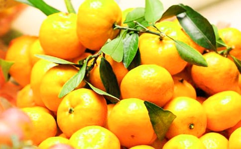 橘子優(yōu)秀作文(必備)