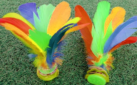 �w���̰������Ľ̌W(xu��)