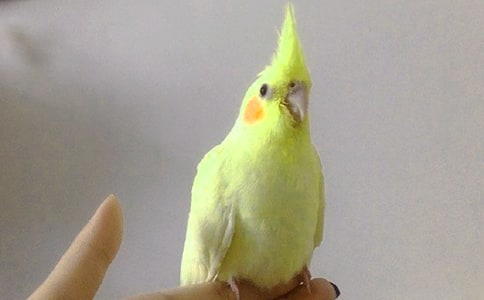 С�W�^���ąR��15ƪ