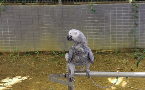 ���Đ۵��W�^����