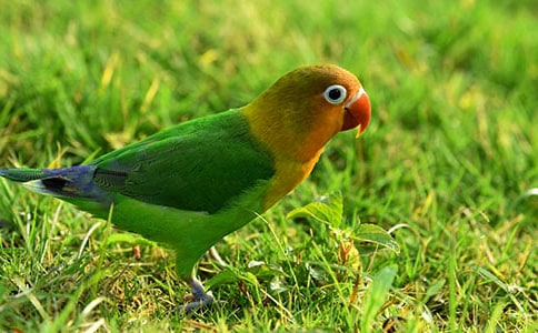 �W�^��(y��u)������3ƪ(���A)