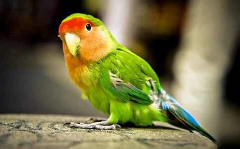 �����W�^�ă�(y��u)������