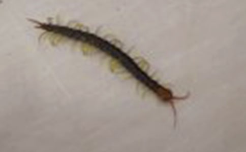 ����w���Α������·�̰�