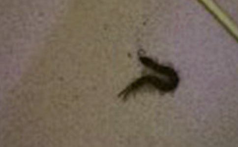 ����w���Α�̰�����˼���옷��С��򼡷