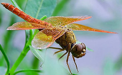 ���ў��Խ��Խ��