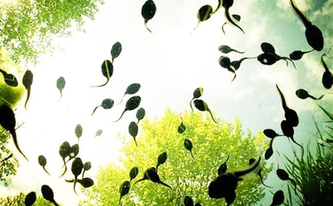 ��С����ҋ������̌W(xu��)�O(sh��)Ӌ(j��)����˼