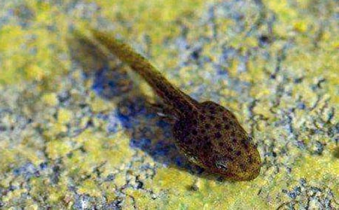 С���w���̰���С����ҋ�����