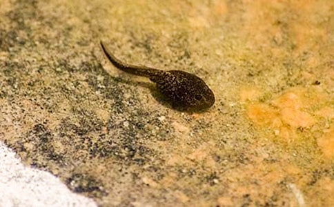 ��С����ҋ������̌W(xu��)�O(sh��)Ӌ(j��)֮һ