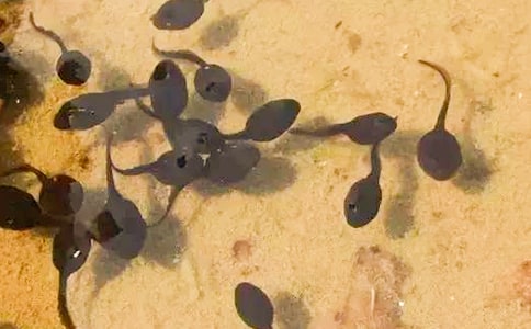 С������ġ��]��