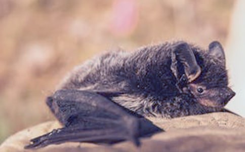 �����һ����