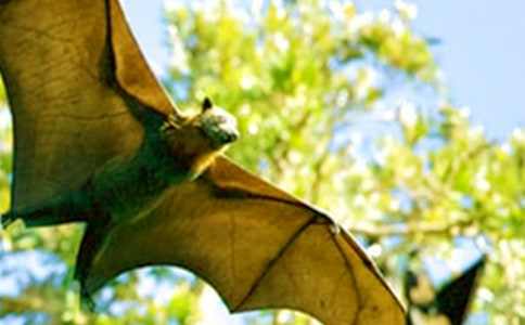 ��������_(d��)С�W(xu��)������