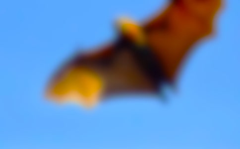 ��������_(d��)����