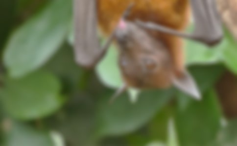 �������������15ƪ[��(y��u)��]