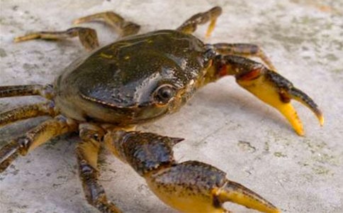 ץ�з��(y��u)�����ģ����x40ƪ��