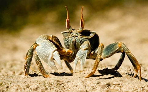 ������g(sh��)���(d��ng)��С�з���̰�