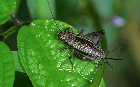 ��߀�l(xi��ng)����