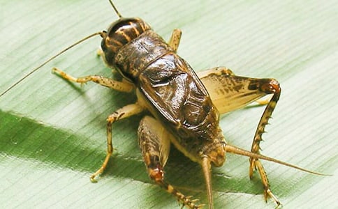 ��߀�l(xi��ng)����