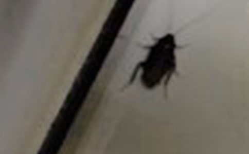 ����(y��u)����������15ƪ