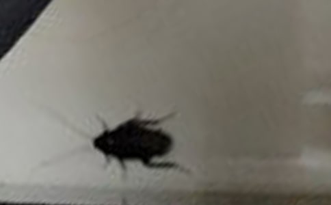 ���Ԓ�}����