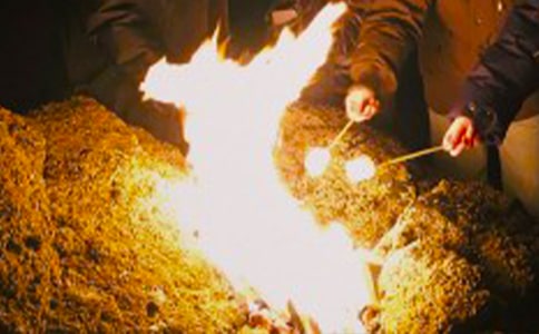 �y�����������(hu��)����