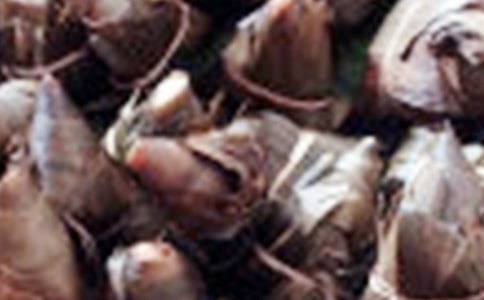 (��(j��ng)��)���Ӄ�(y��u)������