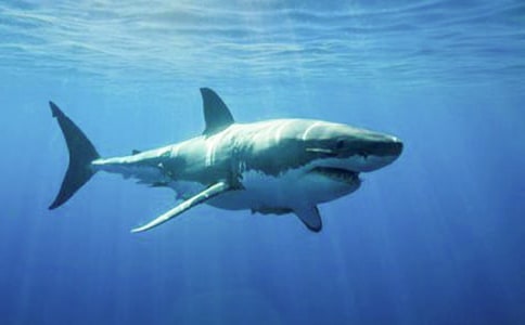 ���o(h��)���~����