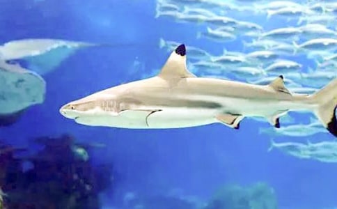 �Һ���׃�����~_�P(gu��n)�ډ���������