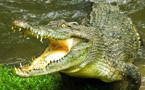 �{�~������