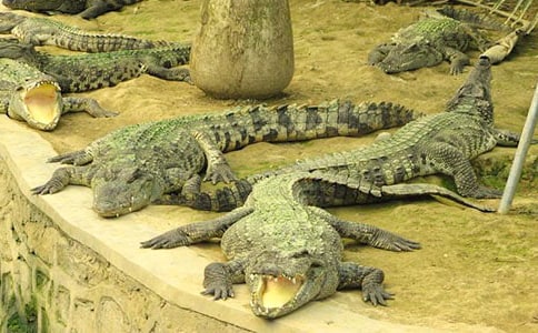 �{�~������