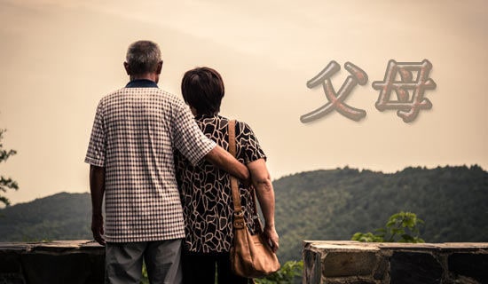 �����]���o��ĸ�ĸ��x��