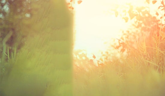 ��Ψ��Ԋ��������Z�90��