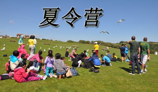 ���ڐ�(��i)������I(y��ng)���(d��ng)���Y(ji��)