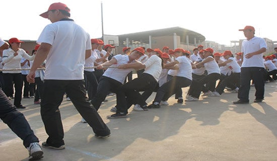 �κ�,�ҁ�������