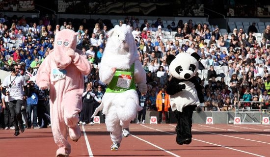 ��\(y��n)��(d��ng)��(hu��)�������Y(ji��)